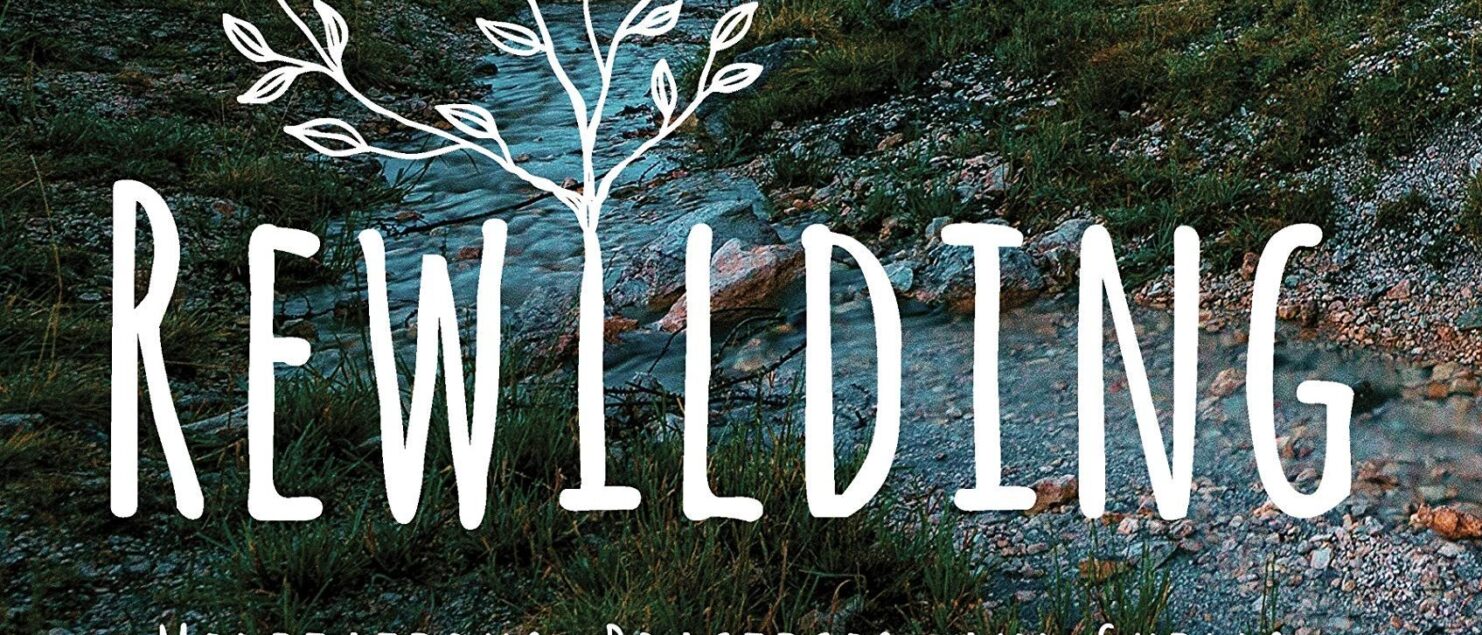 Rewild