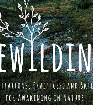 Rewild