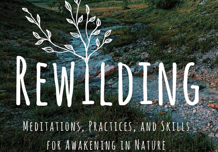Rewild